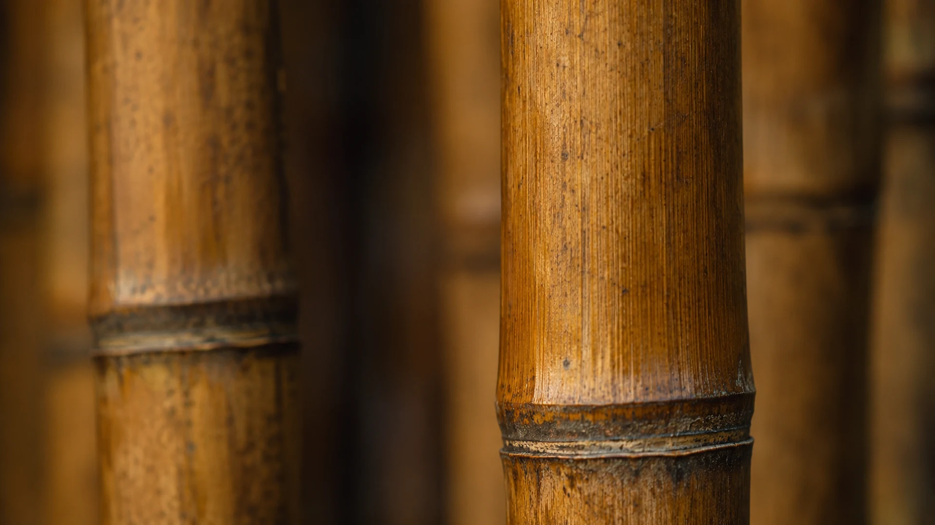 Textura e nós naturais do bambu